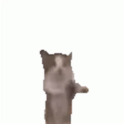 cat jumping meme gif|jumping cat happy meme.